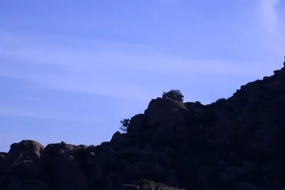 DSC_2092 (Large).JPG